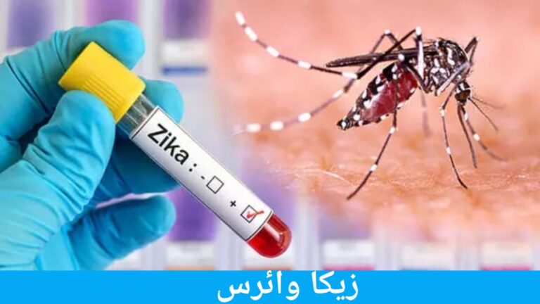 پونے میں زیکا وائرس کے 6 کیسز رپورٹ ہونے سے خوف و ہراس، 2 حاملہ خواتین بھی انفیکشن کا شکار